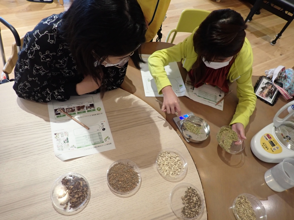 🌳漢方教室🌸